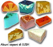 saponi_LUSH