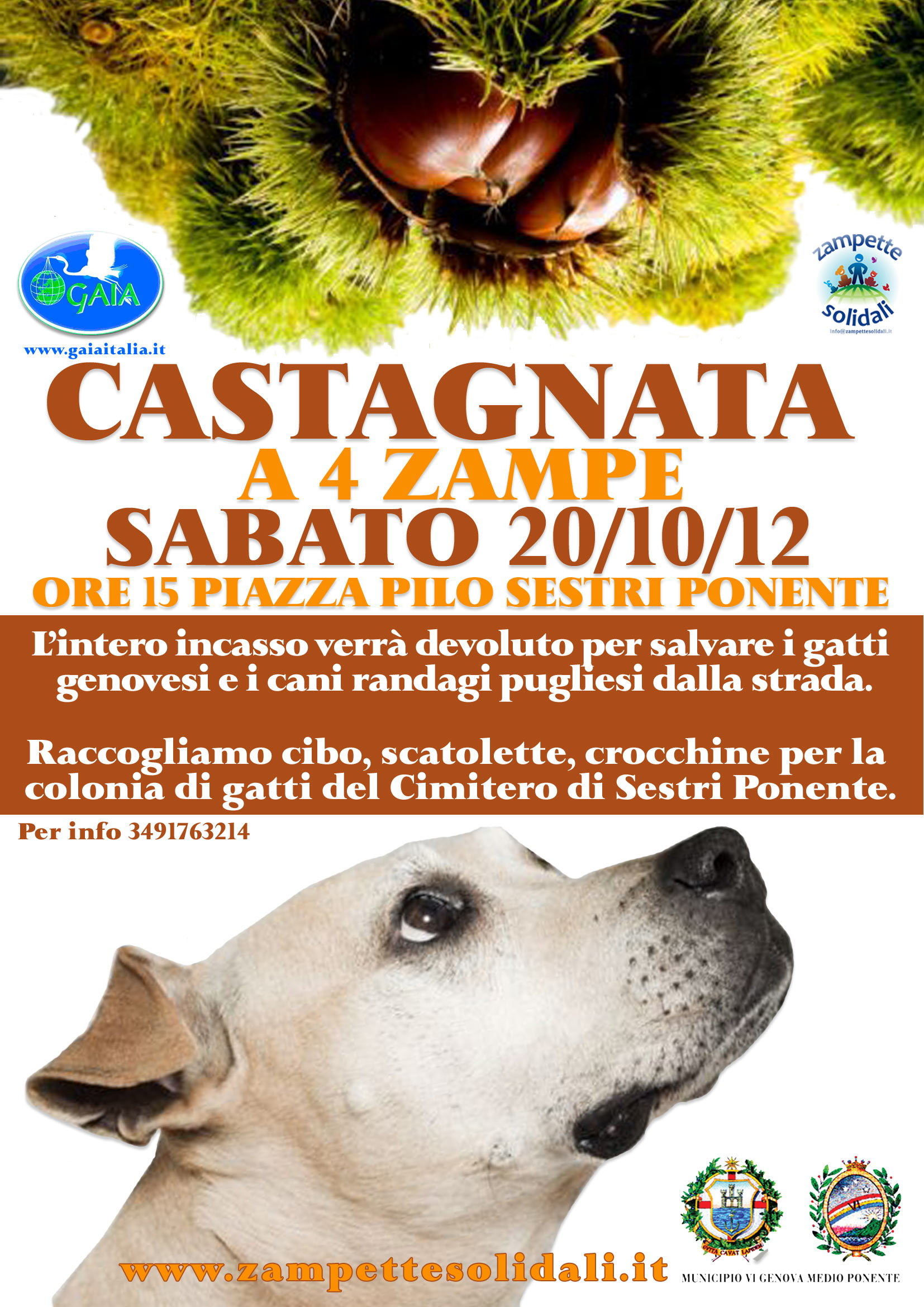 castagnata_20-10-12