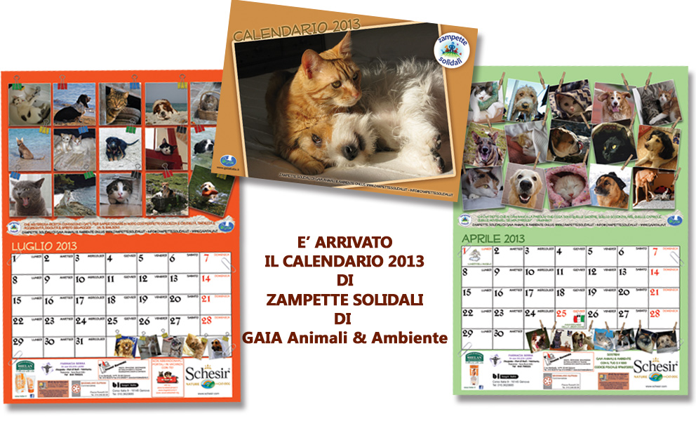 pubblicita_calendario